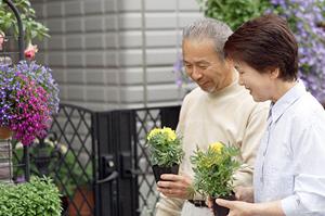 東京でお薦めの結婚相談所について