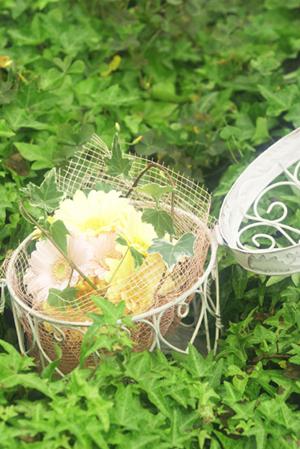 福岡で素敵な結婚指輪を探すなら