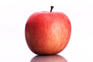 【東大卒限定】高学歴婚活の最前線！信頼できるサービス選びと成功の秘訣